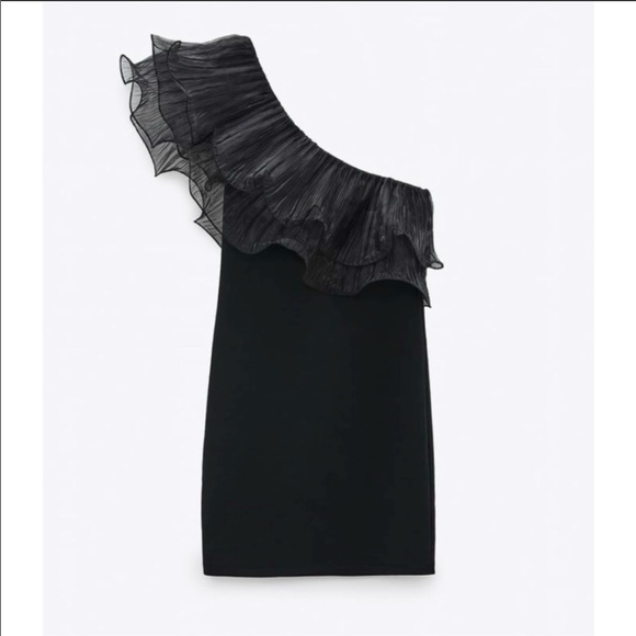 HOT ! Organza Dress Zara Maxi Dress Mini Organza Dress Zara New Zara $169  Linen Organza
